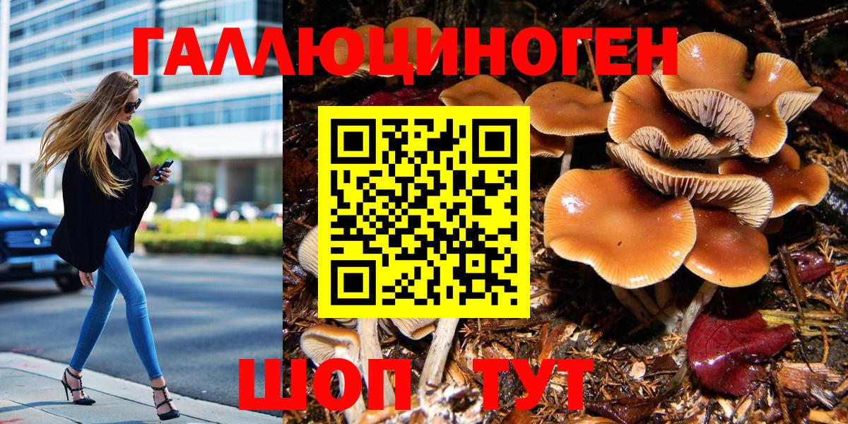 Галлюциногенные грибы Cubensis  что такое наркотик  Острогожск  Вход с VPN 